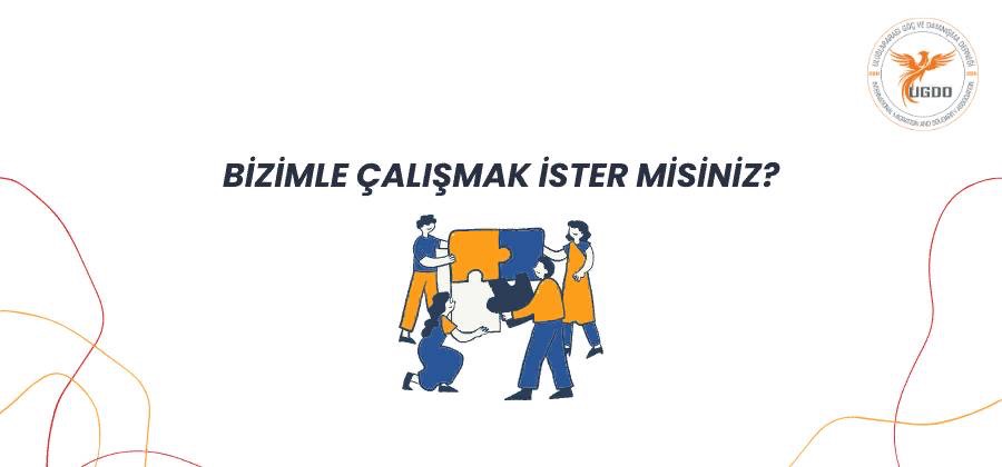 Finans & Data Asistanı